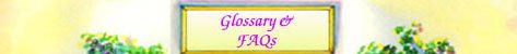 Glossary and FAQs