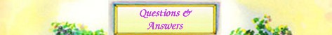 Questions and Answers
