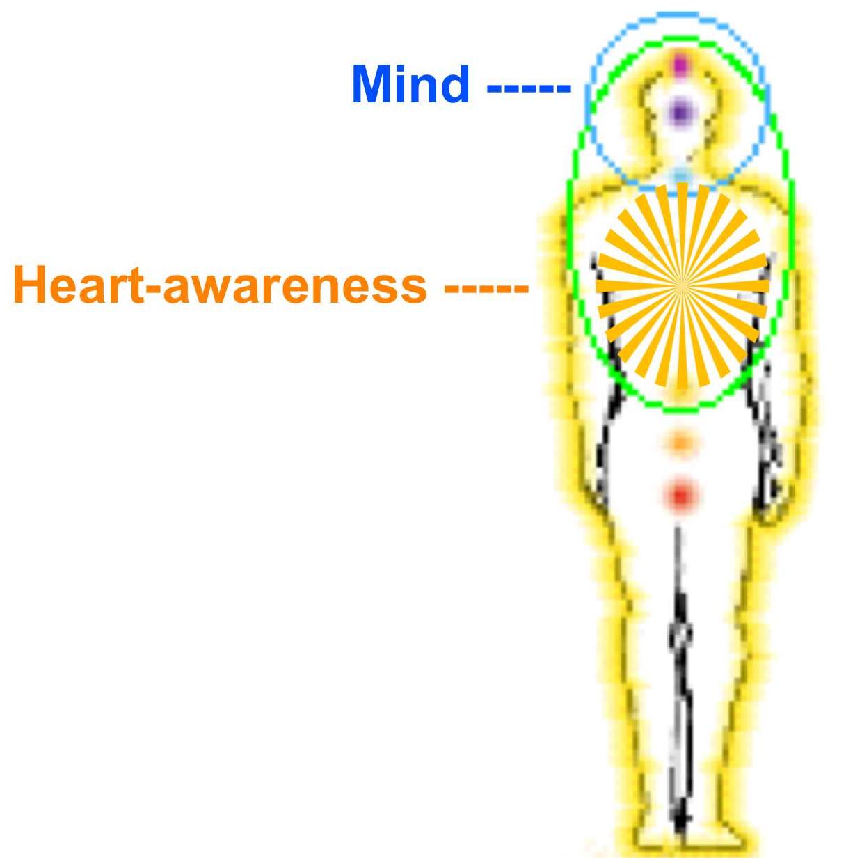 heart-awarenessdiagram